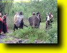 Moorstedt_2010_156.JPG