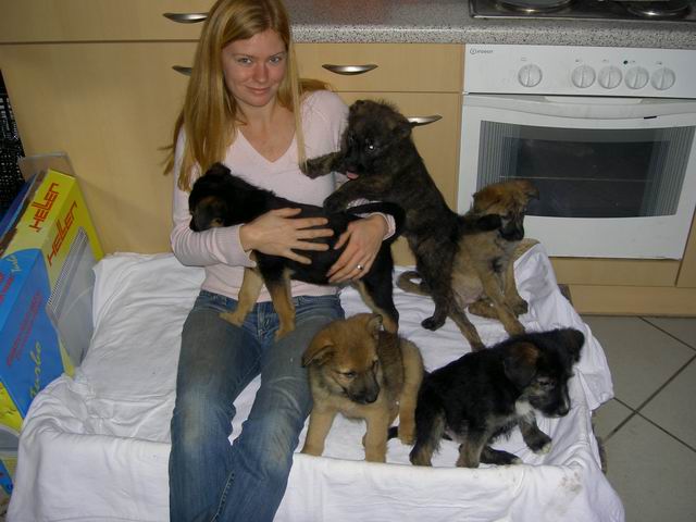 welpen06.jpg