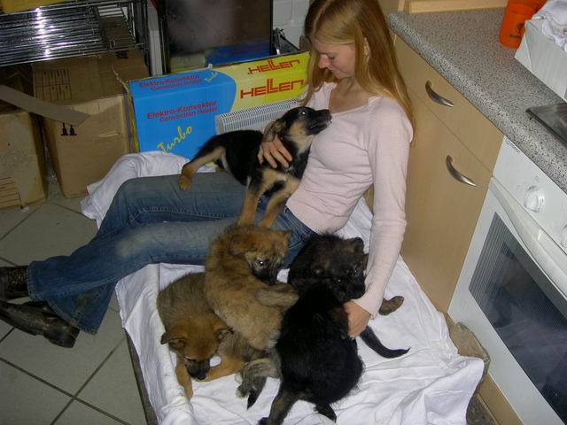 welpen22.jpg
